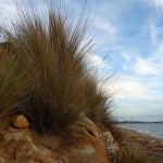 CoronetBay-Coast-17
